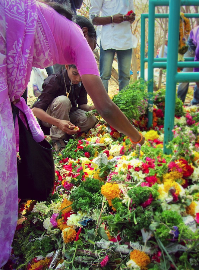 Gathering flowers to offer to God in India. 