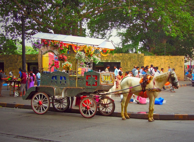 Horse carriage in Mumbai