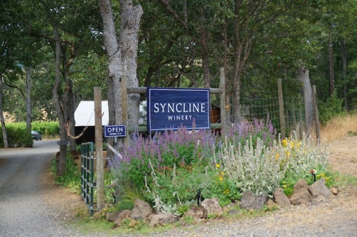 syncline winery washington